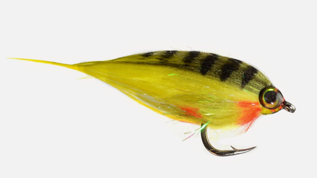 Selling Flies? - Fly Fish Food