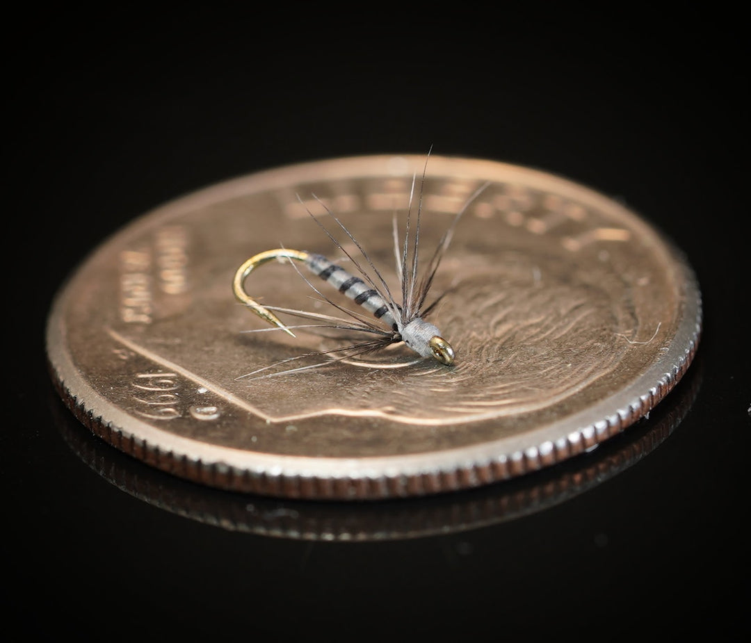 Size 24 Soft Hackle - Fly Fish Food