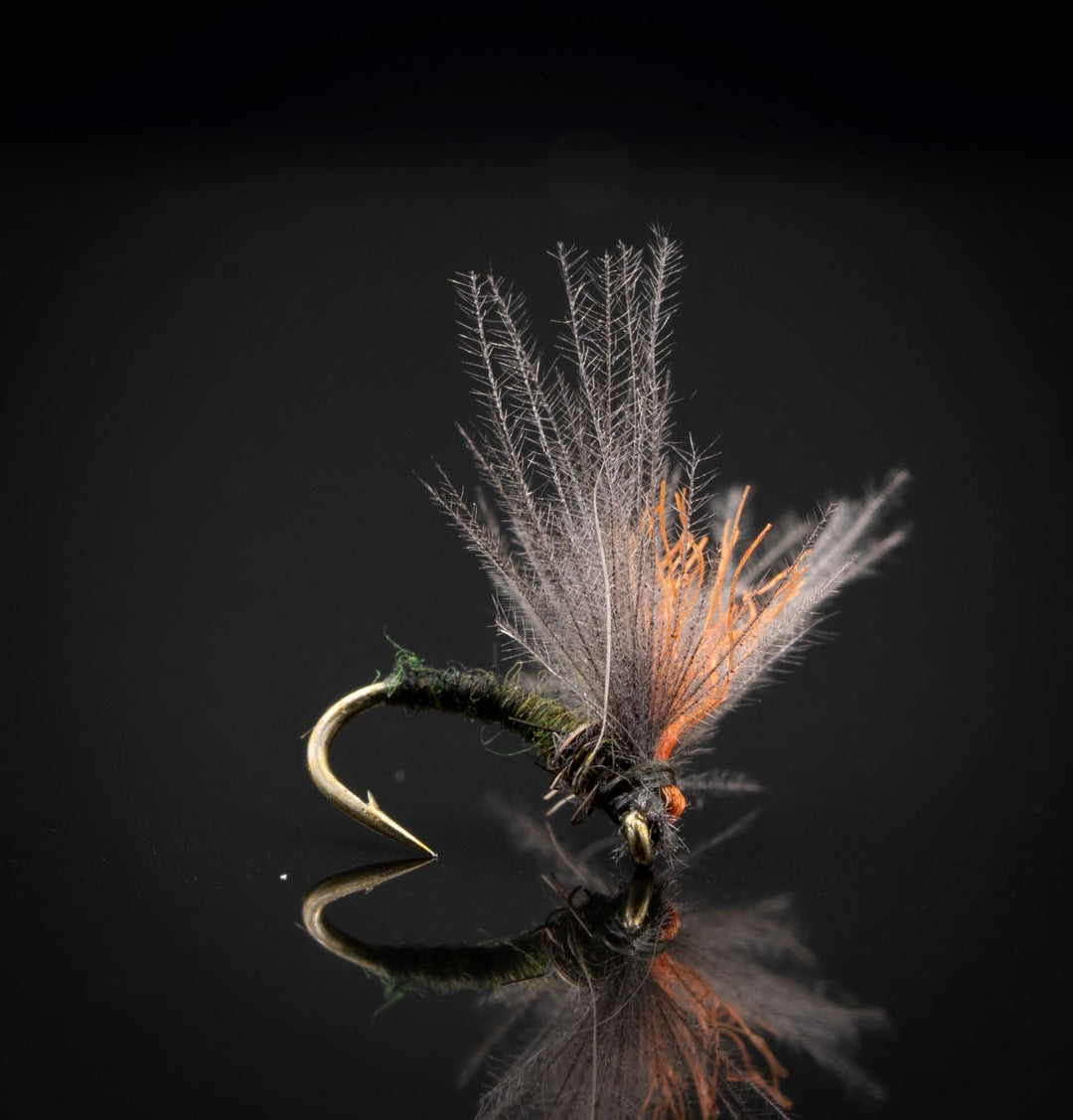 Antonio's BWO Emerger - Fly Fish Food