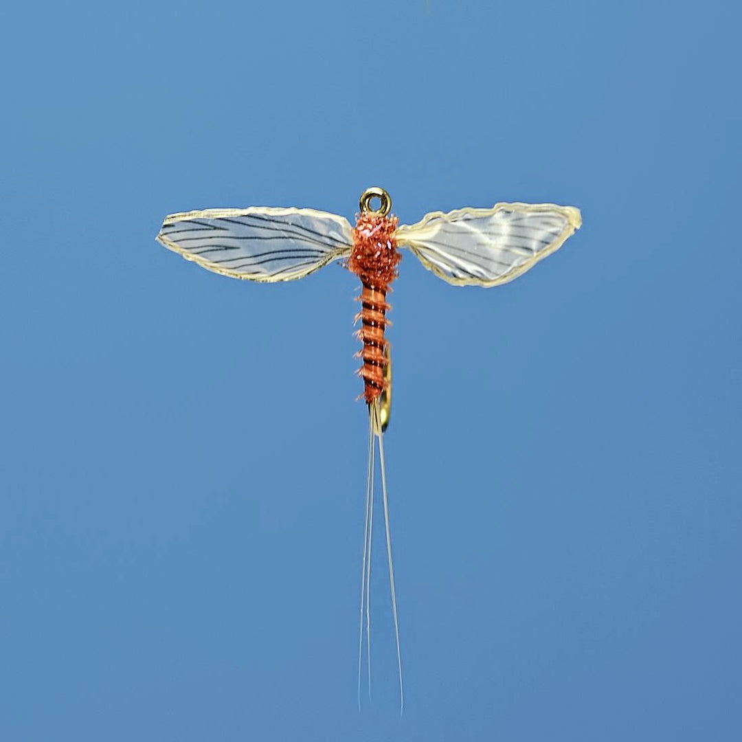 Tying with Biots - Fly Fish Food