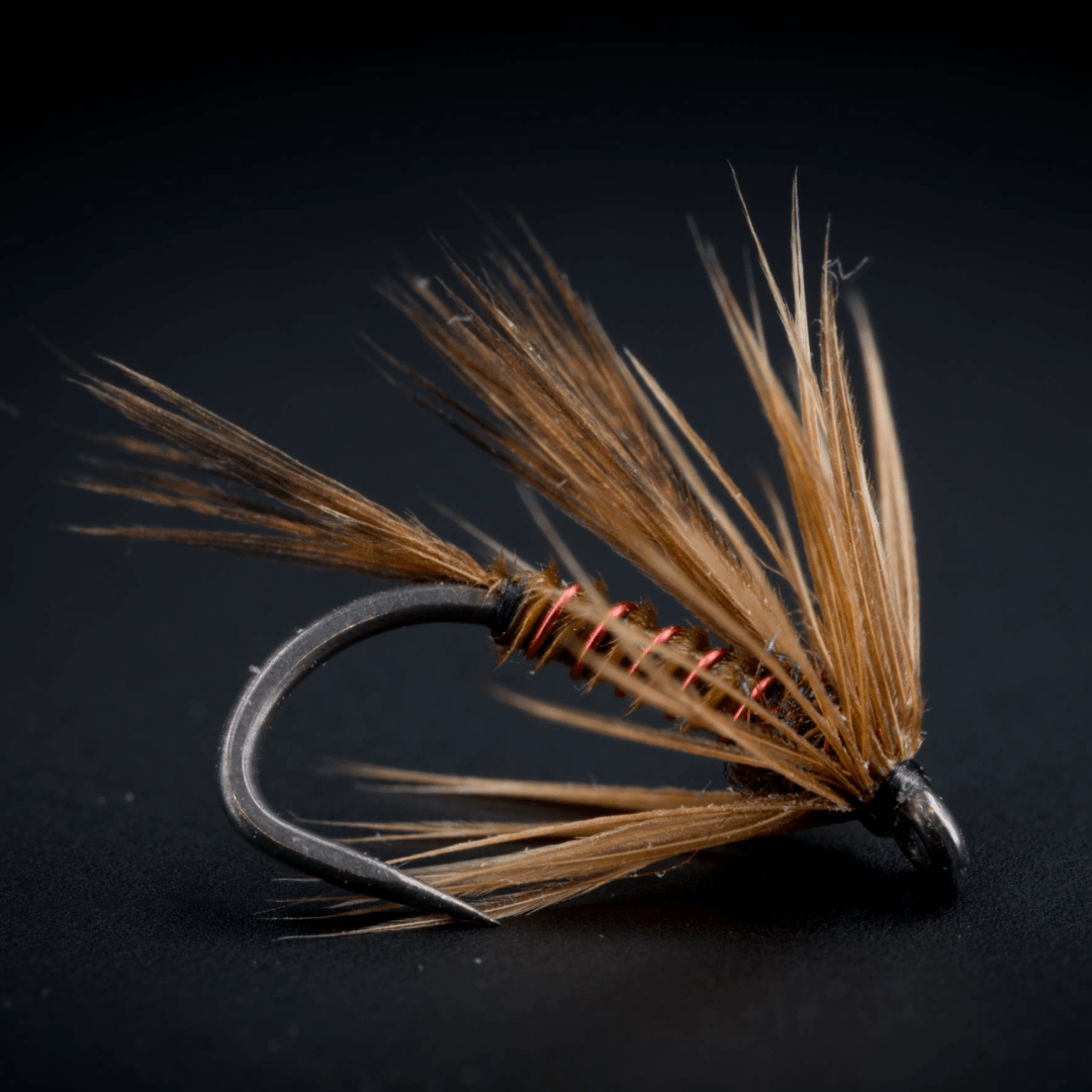 Red Rib Soft Hackle - Fly Fish Food