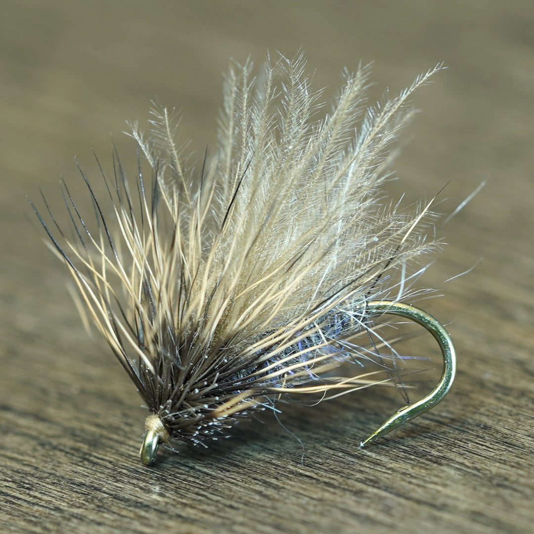 CDC Deer Caddis - Fly Fish Food