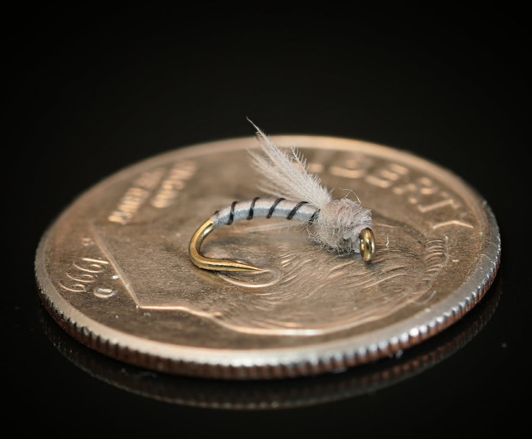 CDC Midge Pupa - Fly Fish Food