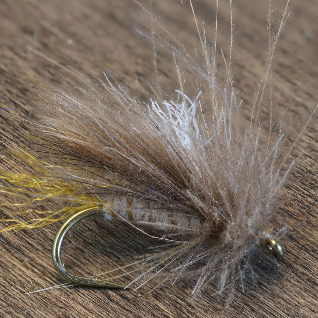 Corn Fed Caddis - Fly Fish Food