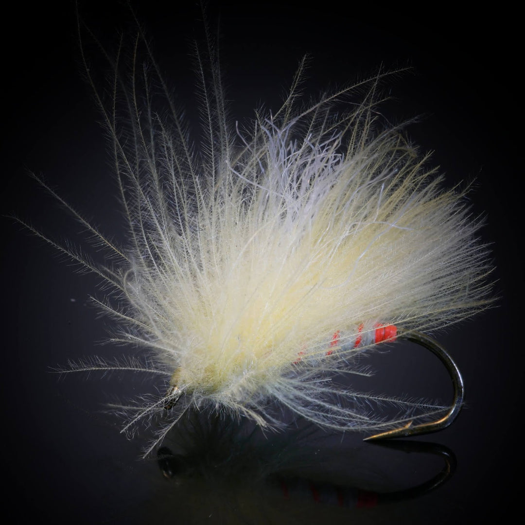 Egan's Corn Fed Sally - Fly Fish Food