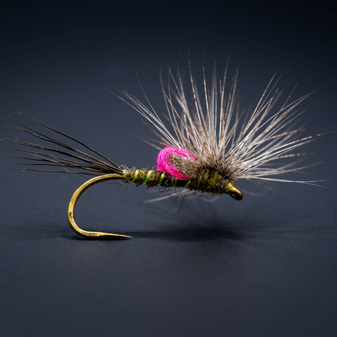 Deadman's Drake - Fly Fish Food