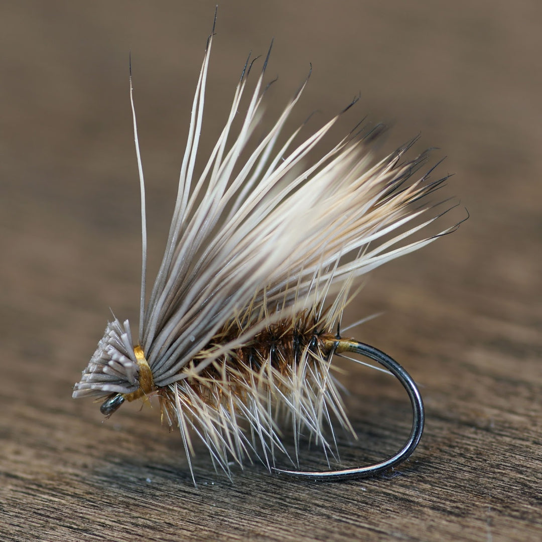 Peacock & Elk Hair Caddis - Fly Fish Food