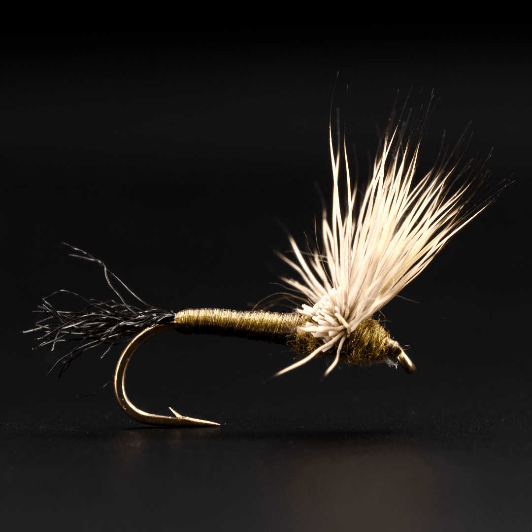 Flavilinea Sparkle Dun - Fly Fish Food
