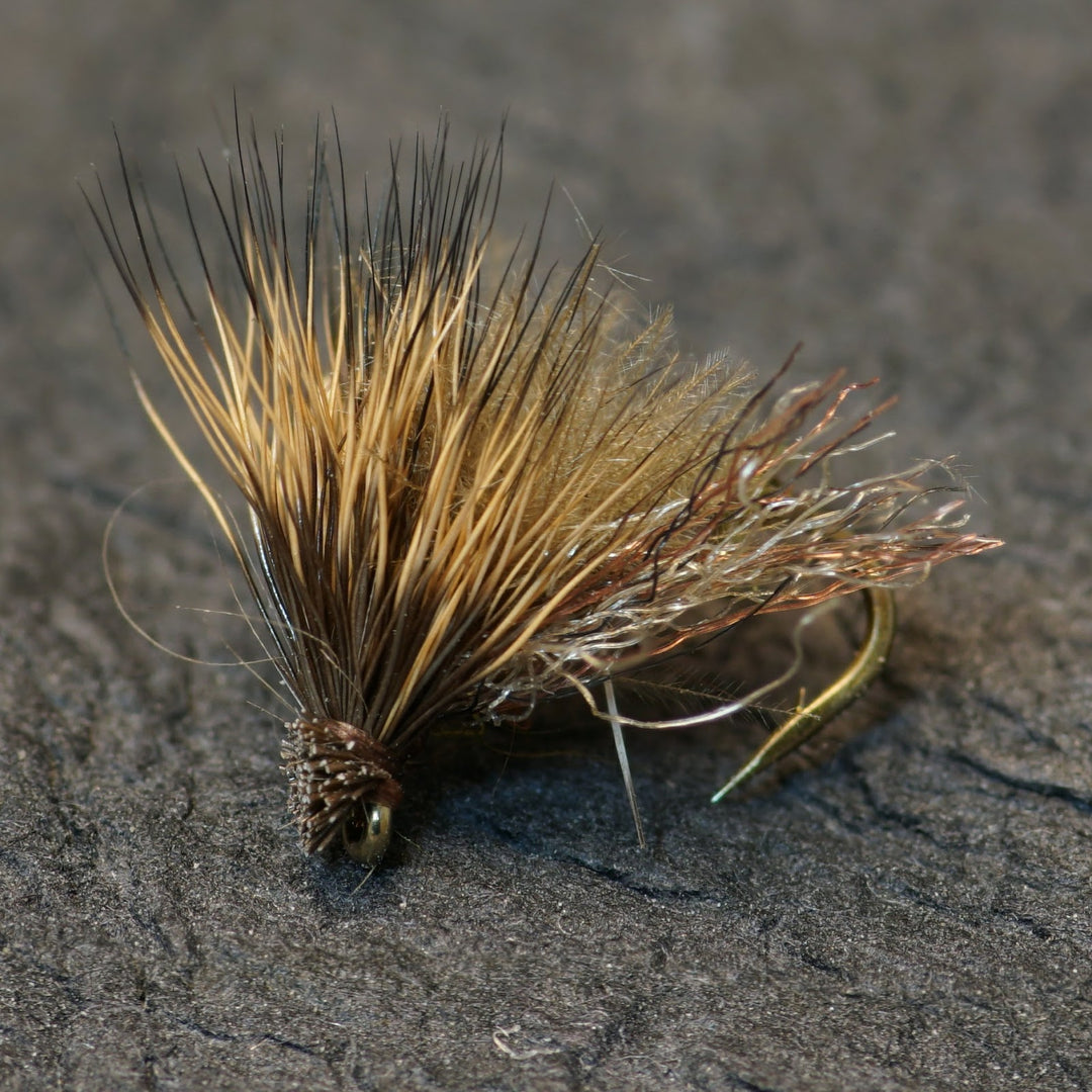 Fluttering Caddis - Fly Fish Food