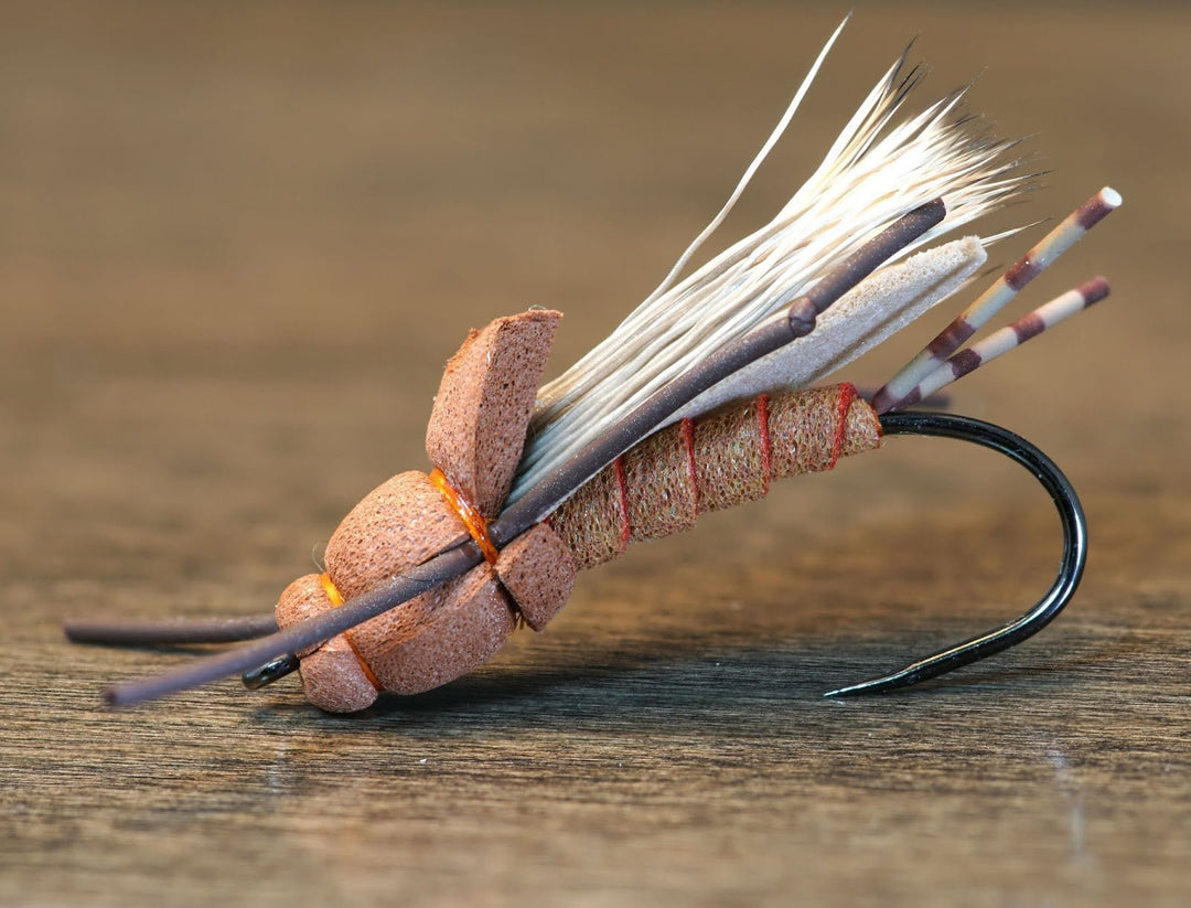 Foam is Home Stonefly - Fly Fish Food