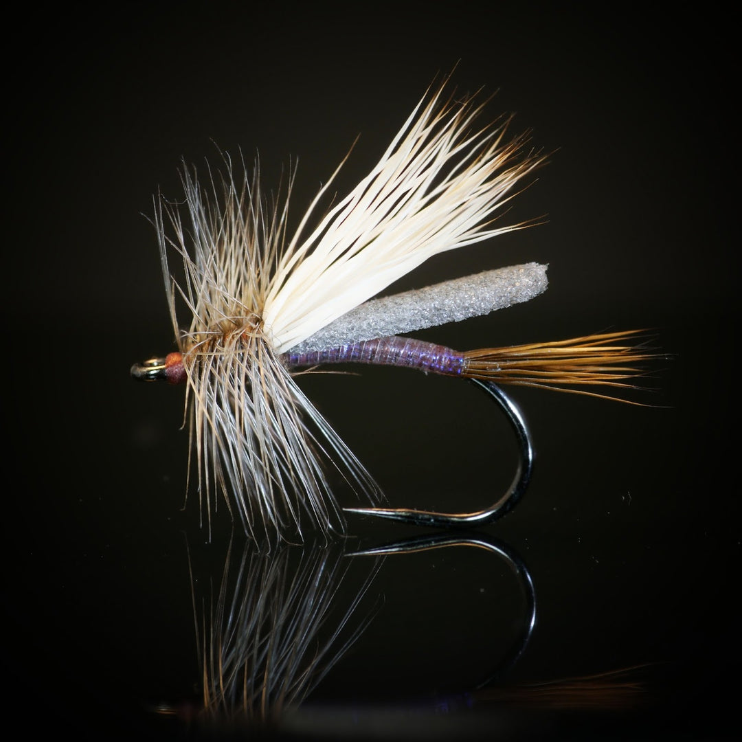 Iced Mocha Naked Stimi - Fly Fish Food