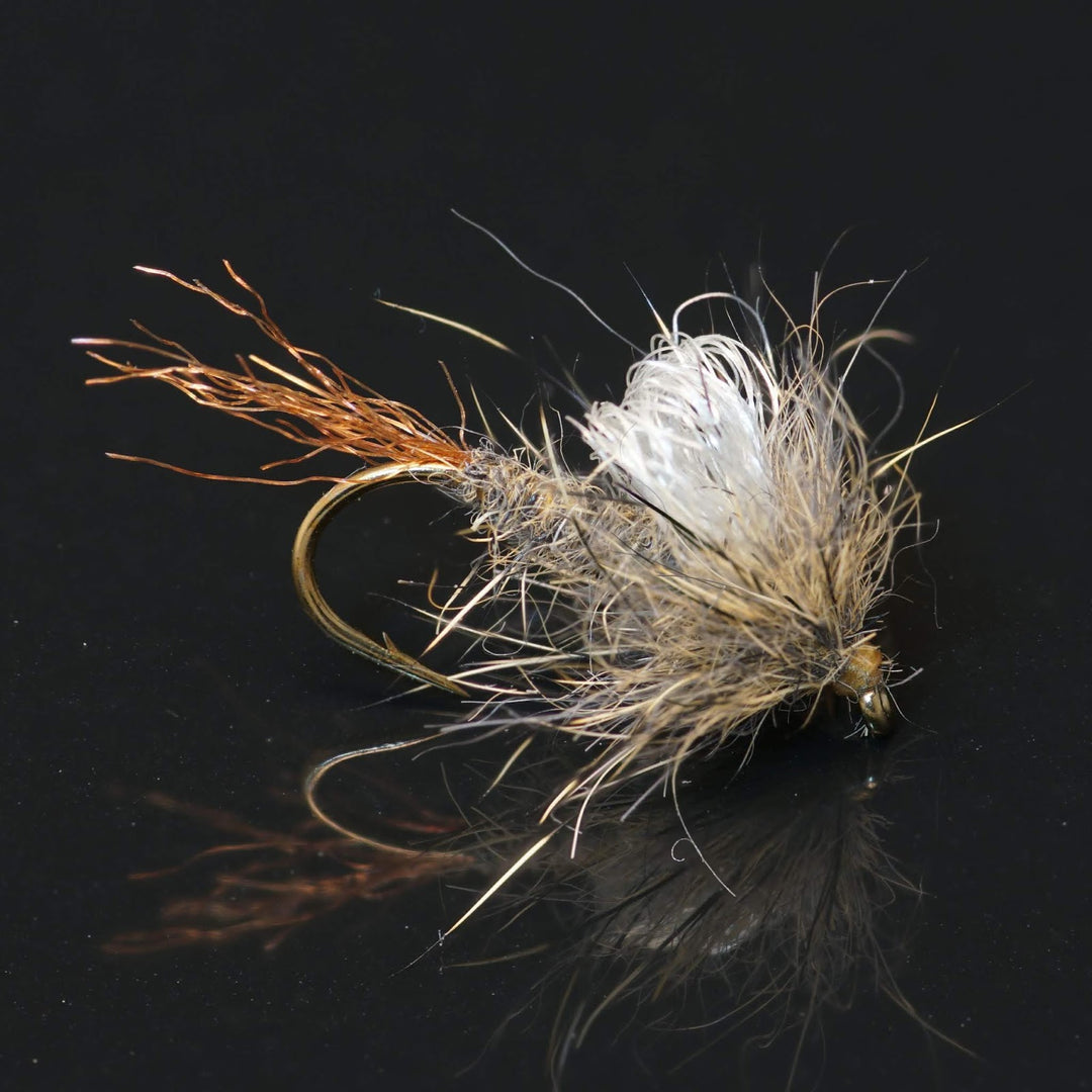 Iris Caddis Variation - Fly Fish Food