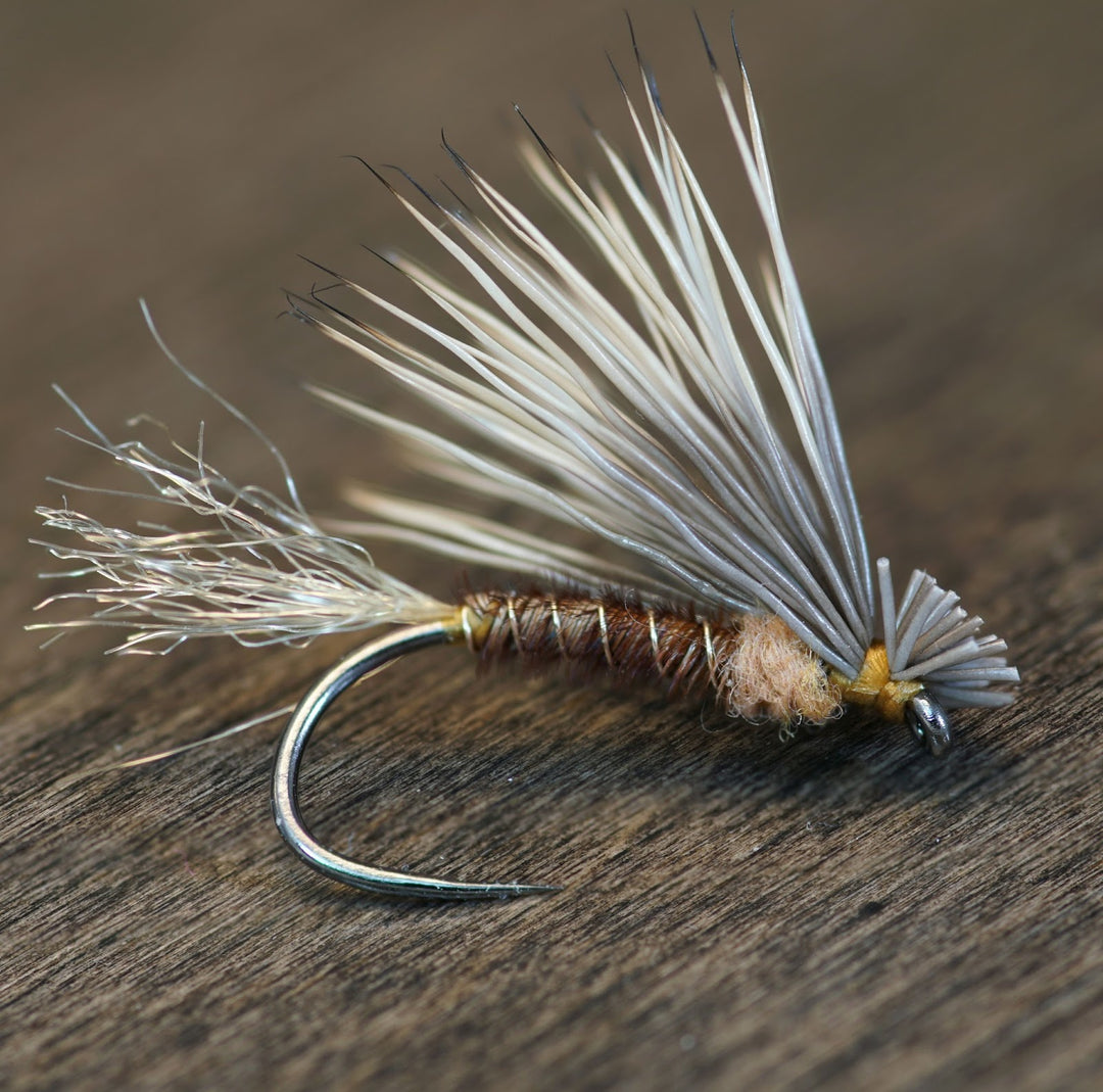 Pheasant Tail X-Caddis - Fly Fish Food