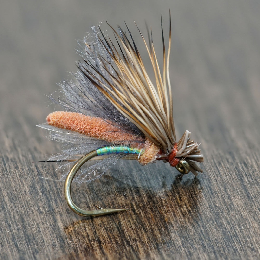 Palomino Caddis v2.0 - Fly Fish Food