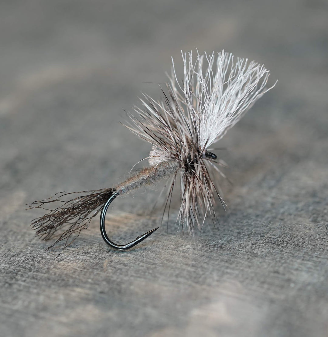 Adams Cripple - Fly Fish Food