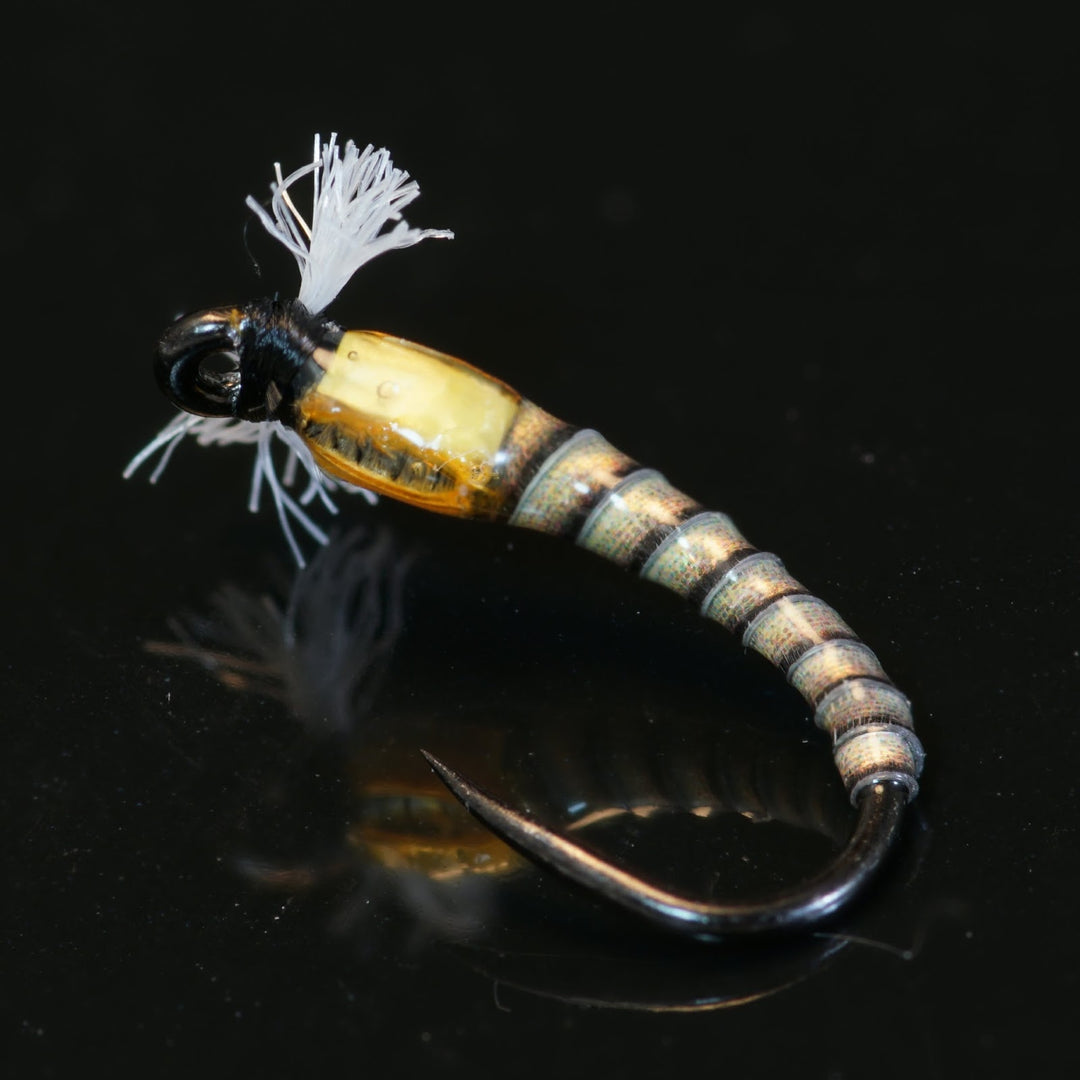 Pert-Near Chironomid Pupa - Fly Fish Food