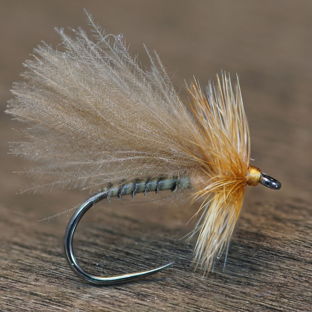 CDC Biot Caddis - Fly Fish Food