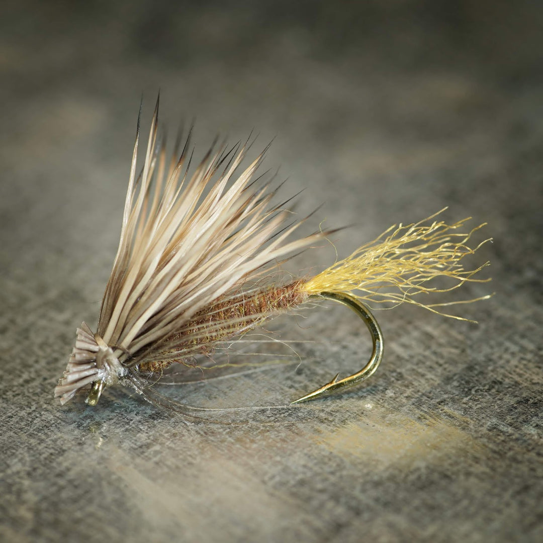 Soft Hackle X Caddis - Fly Fish Food