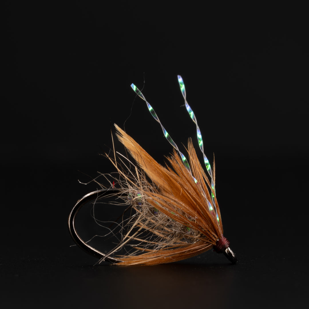 Sanchez's One Feather Soft Hackle - Fly Fish Food