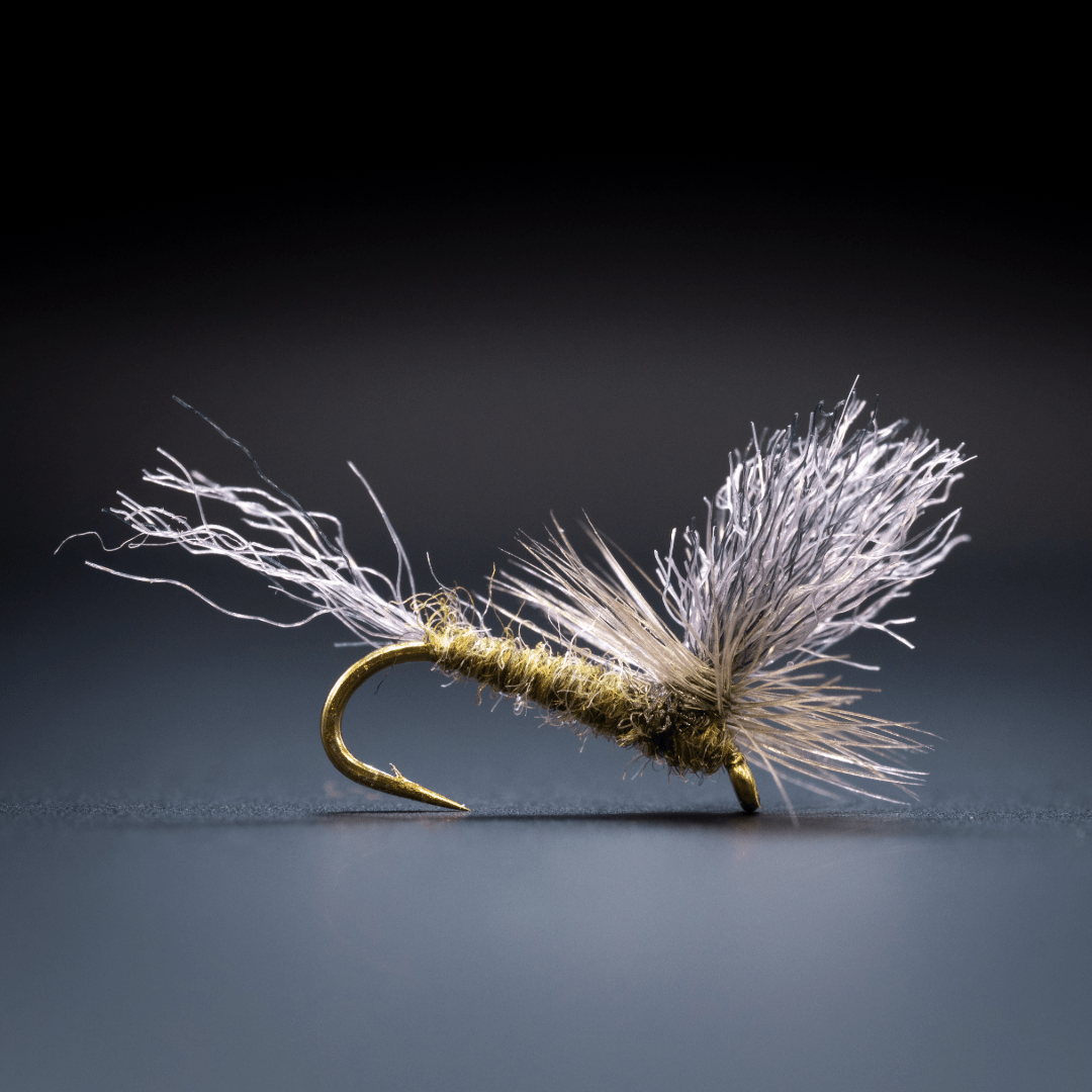 Simple Parachute BWO - Fly Fish Food