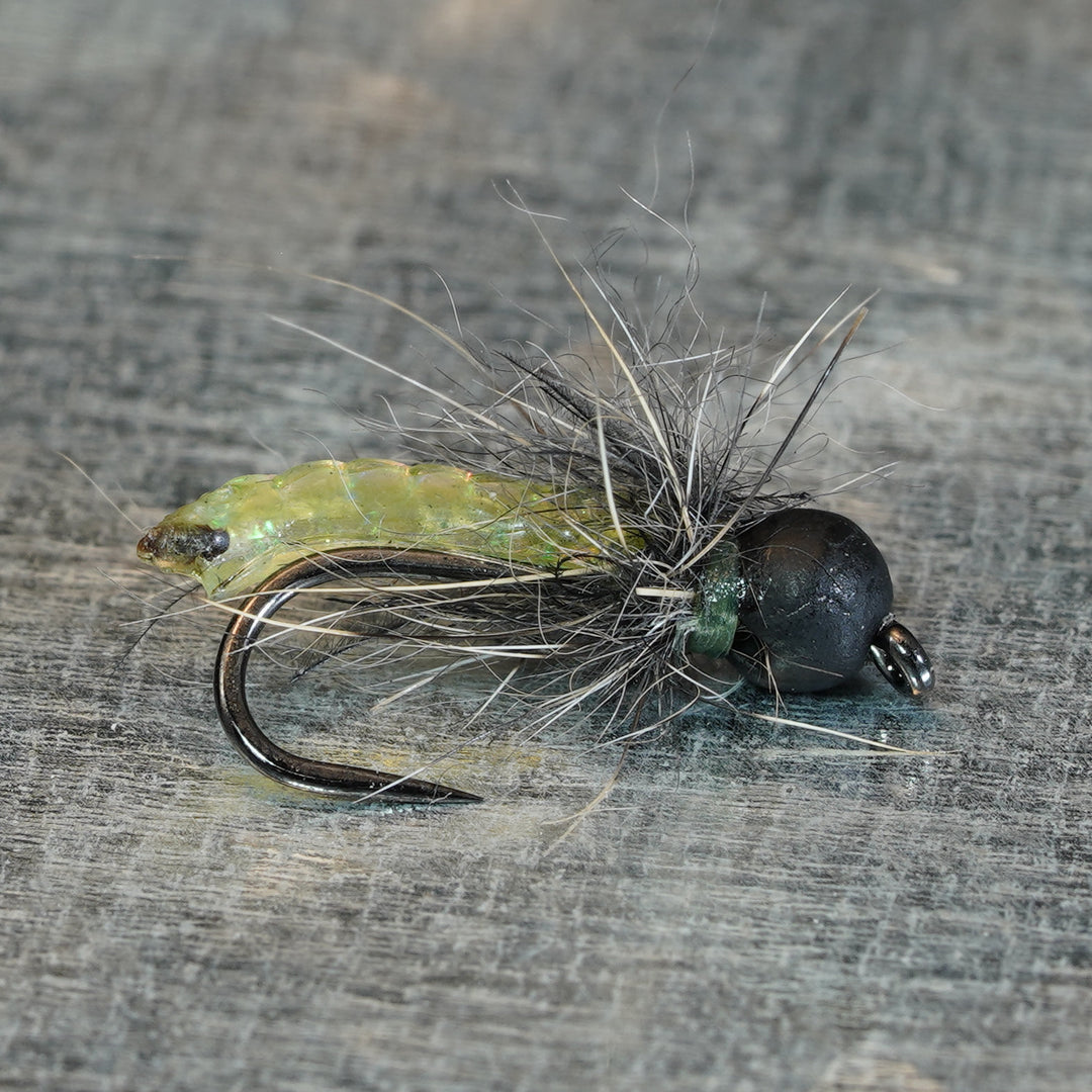 Slick Willie Caddis - Fly Fish Food