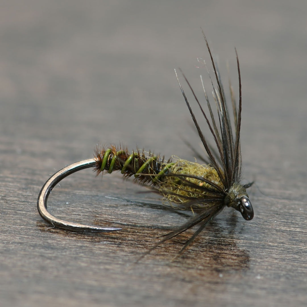 Blue Winged Olive Soft Hackle - Fly Fish Food