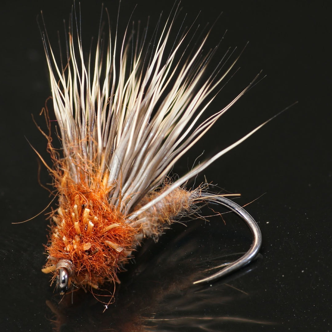 The Streaking Caddis - Fly Fish Food