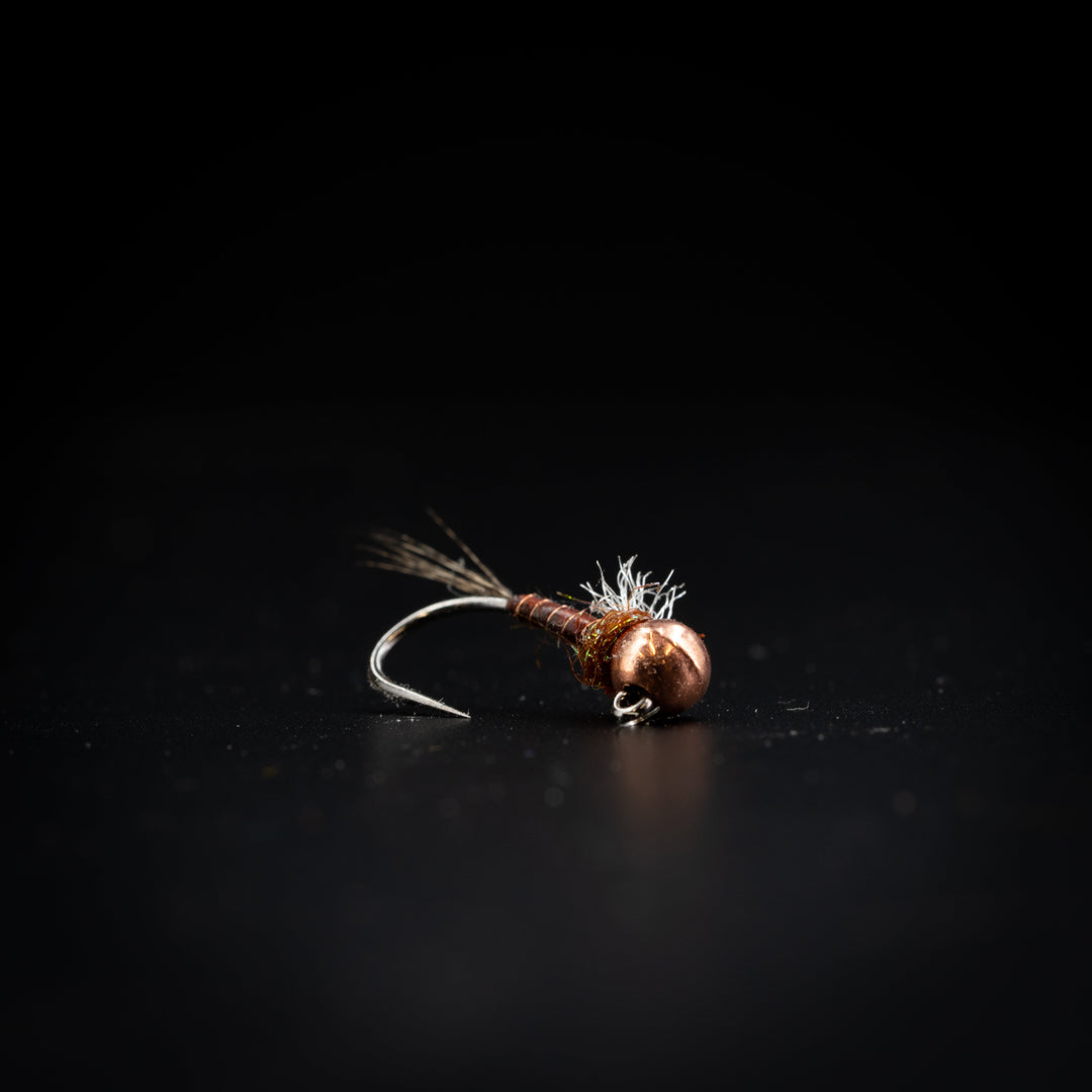 Daily Fly - Fly Fish Food