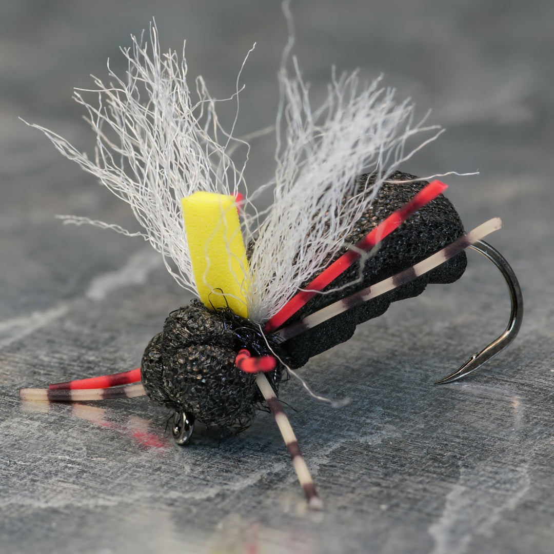 Big Unsinkabeetle - Fly Fish Food