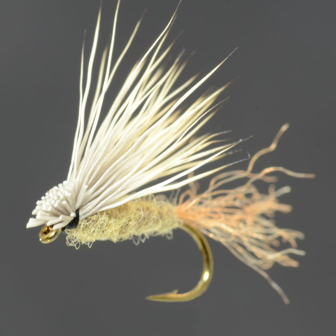 X Caddis - Fly Fish Food