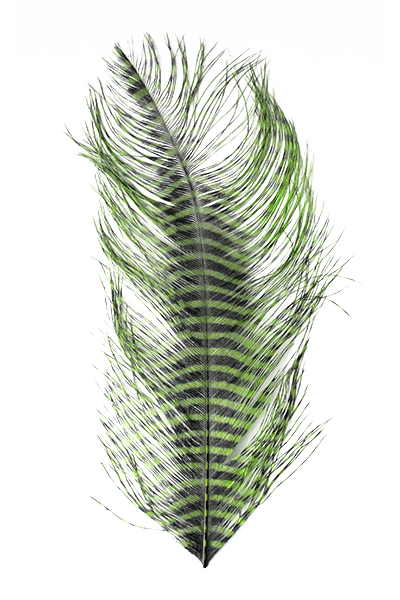 MFC - Barred Ostrich Plume - Feathers &amp; Marabou - Fly Fish Food