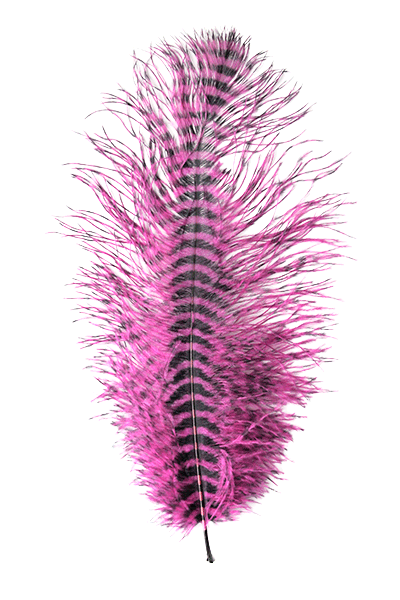 MFC - Barred Ostrich Plume - Feathers &amp; Marabou - Fly Fish Food