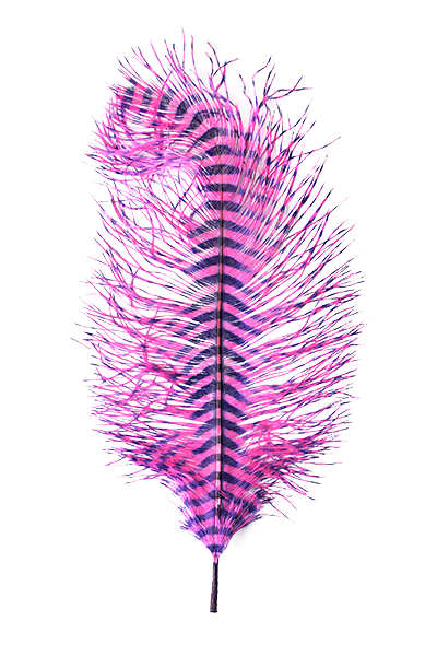 MFC - Barred Ostrich Plume - Feathers &amp; Marabou - Fly Fish Food