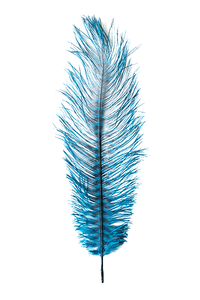 MFC - Barred Ostrich Plume - Feathers &amp; Marabou - Fly Fish Food