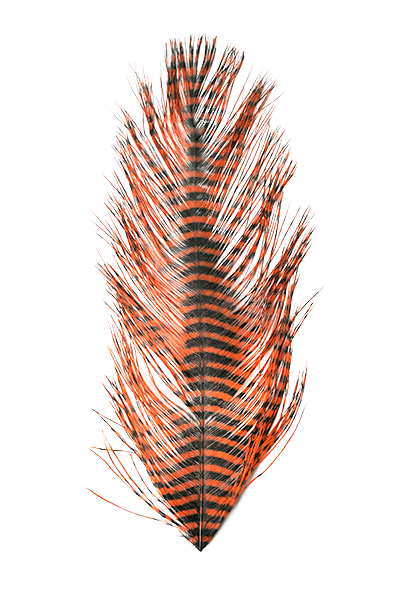 MFC - Barred Ostrich Plume - Feathers &amp; Marabou - Fly Fish Food