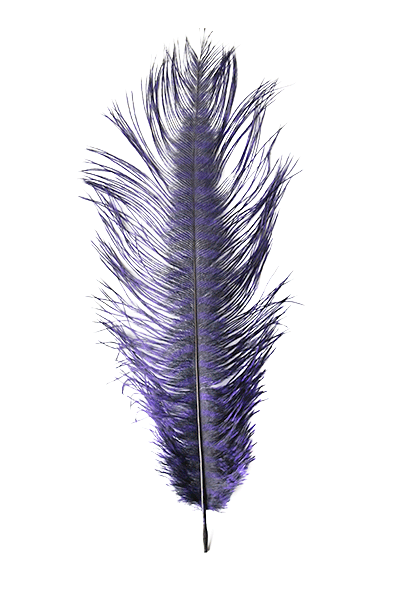 MFC - Barred Ostrich Plume - Feathers &amp; Marabou - Fly Fish Food
