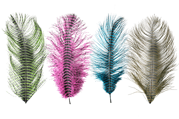 MFC - Barred Ostrich Plume - Feathers & Marabou - Fly Fish Food