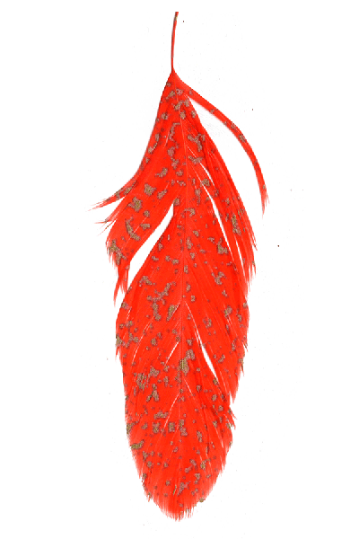 MFC - Mottled Schlappen - Feathers & Marabou - Fly Fish Food