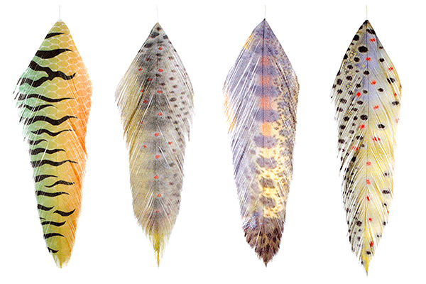 MFC - Galloup's Fish Feathers - Feathers & Marabou - Fly Fish Food