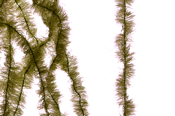 Senyo's Super Satin Chenille - 10MM - Chenille - Fly Fish Food