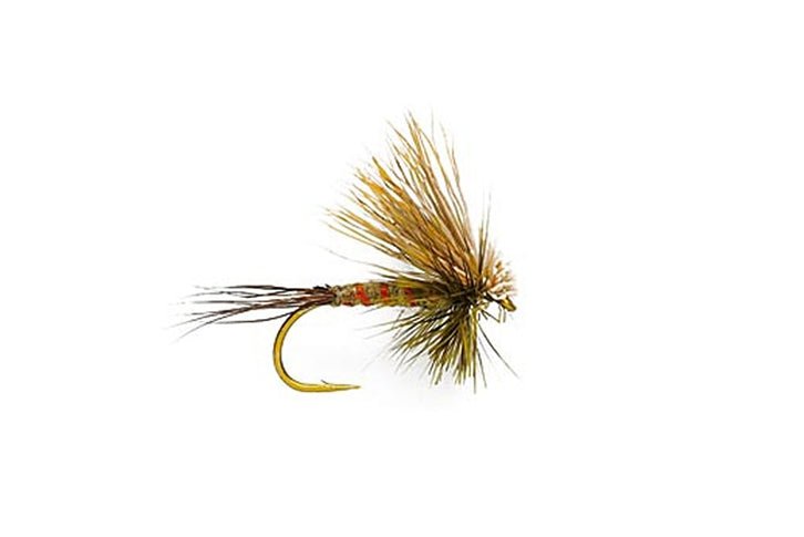 Hairwing Western Green Drake - Flies - Fly Fish Food