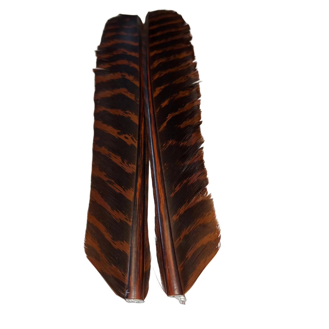 Barred Turkey Biot Quill Pair - Feathers &amp; Marabou - Fly Fish Food