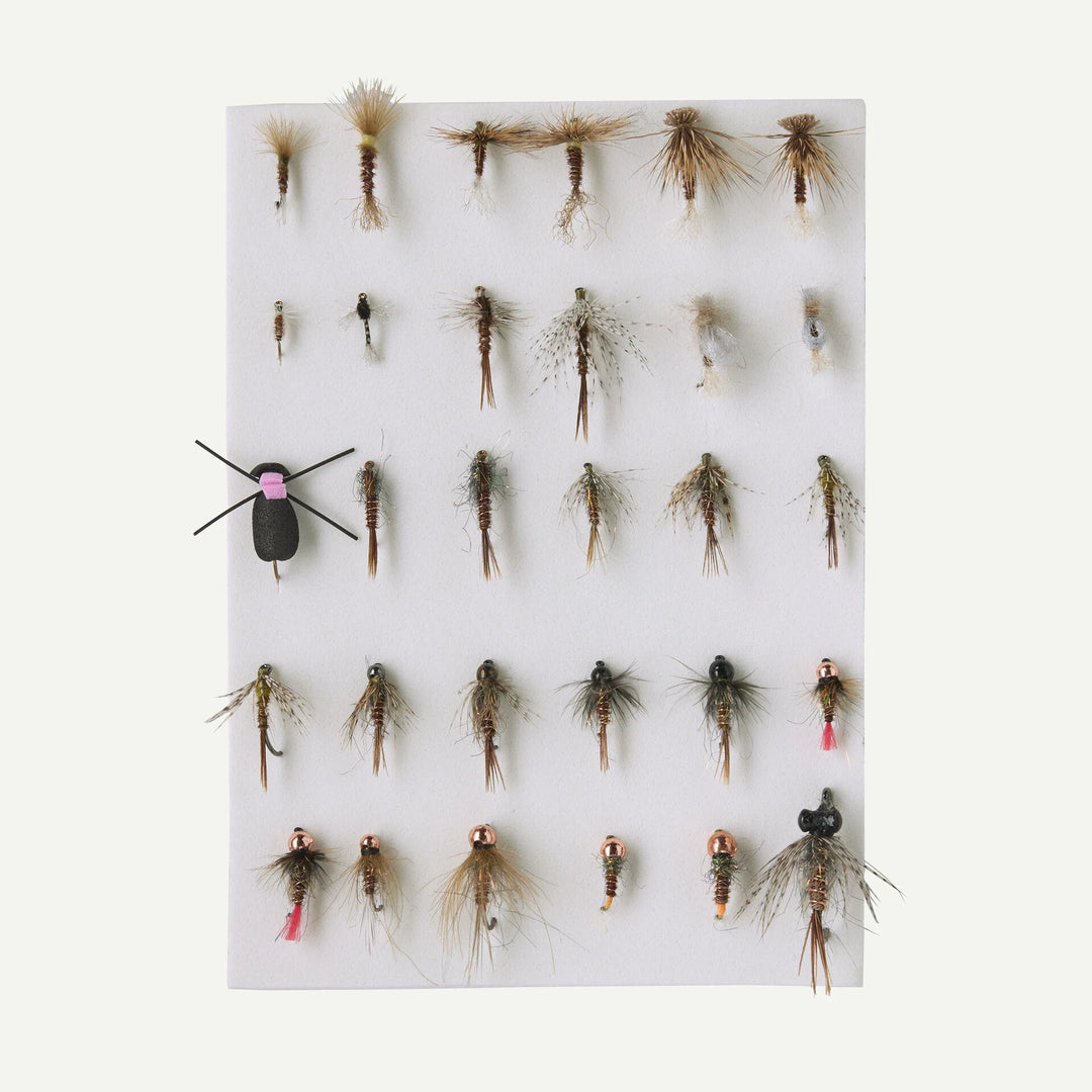 Patagonia - Fly Box - Pheasant Tail Flies - Flies - Fly Fish Food
