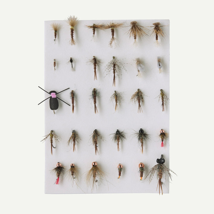 Patagonia - Fly Box - Pheasant Tail Flies - Flies - Fly Fish Food