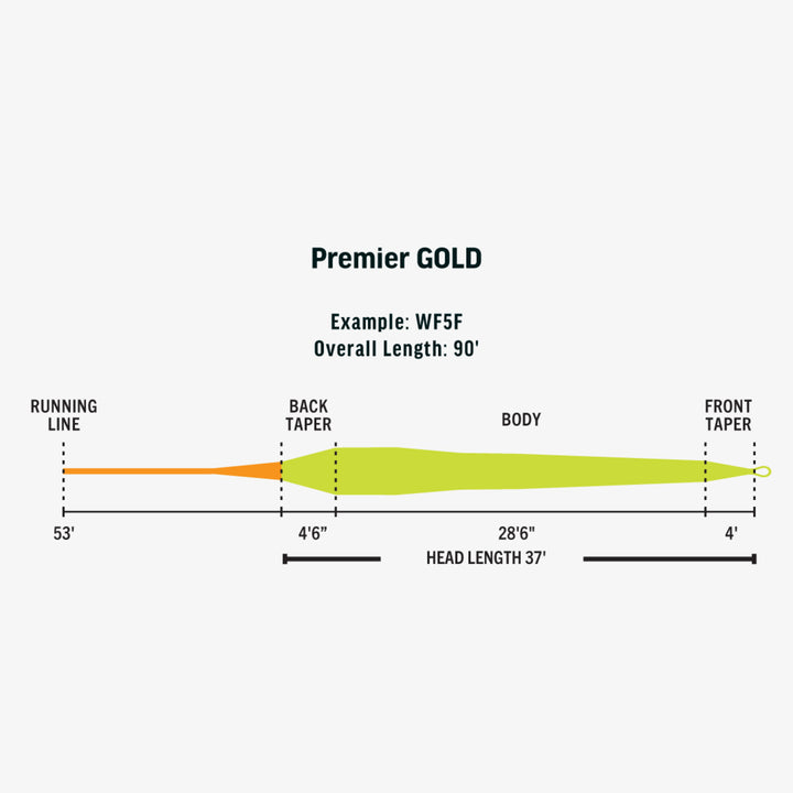 Rio Premier Gold Max - Mint/Blaze Orange - Fly Lines - Fly Fish Food