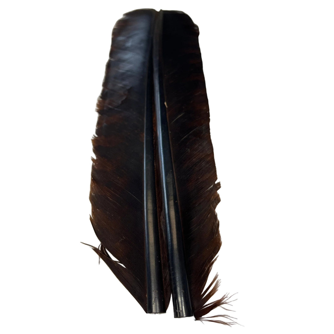 Barred Turkey Biot Quill Pair - Feathers &amp; Marabou - Fly Fish Food