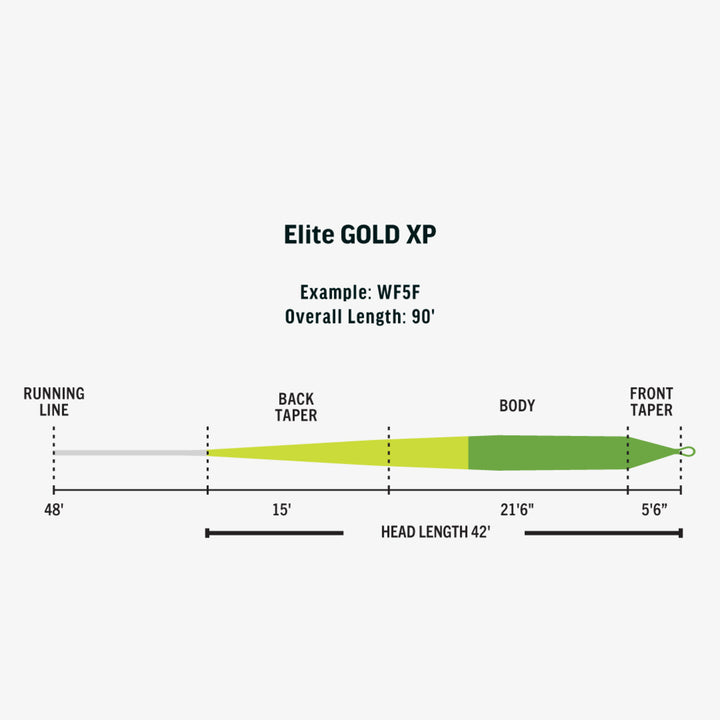 Rio Elite Gold XP - Moss/Electric Green/Gray - Fly Lines - Fly Fish Food