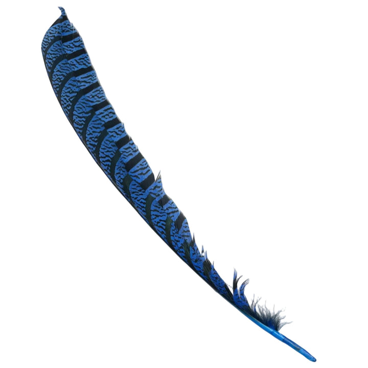 Lady Amherst Center Tail - Halfs - Feathers &amp; Marabou - Fly Fish Food