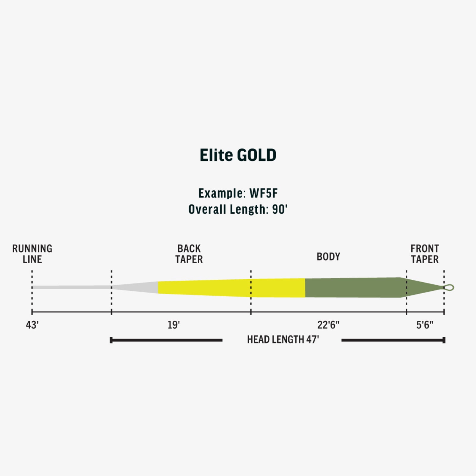 Rio Elite Gold - Slick Cast Fly Line - Moss/Gold/Gray - Fly Lines - Fly Fish Food