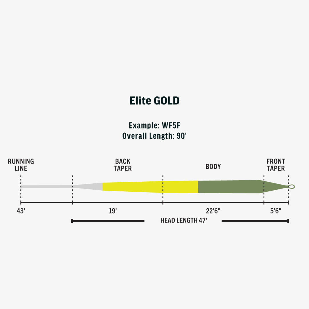 Rio Elite Gold - Slick Cast Fly Line - Moss/Gold/Gray - Fly Lines - Fly Fish Food